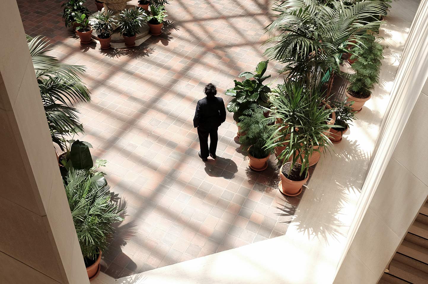 Man standing in Lehman court surrounded by plants